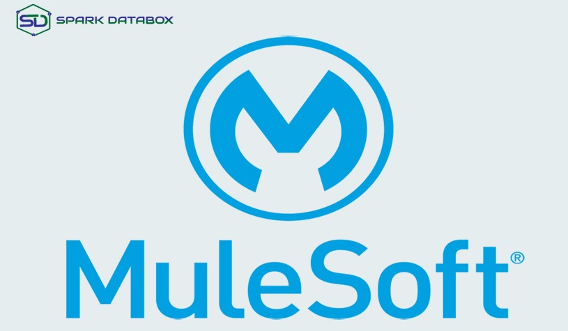 MuleSoft: The Solution for Your Connections