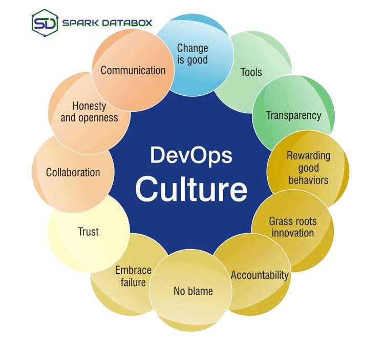 What do you think of the DevOps culture?