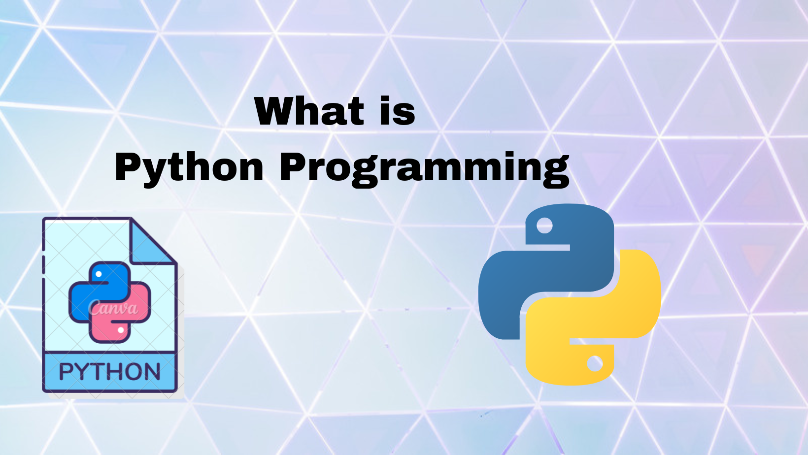 What is Python Programming