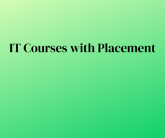 IT Courses with Placement
